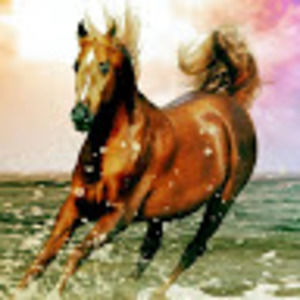 Meet your Posher, Zoey